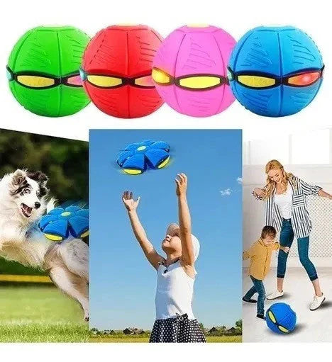 Pelota y Frisbee